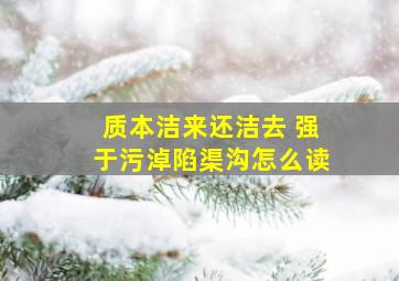 质本洁来还洁去 强于污淖陷渠沟怎么读